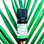 Ефірна олія евкаліпту 100% натуральна (10мл)