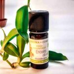 Ефірна олія ладану (5мл, 10 мл)