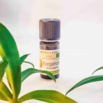 Ефірна олія бергамоту