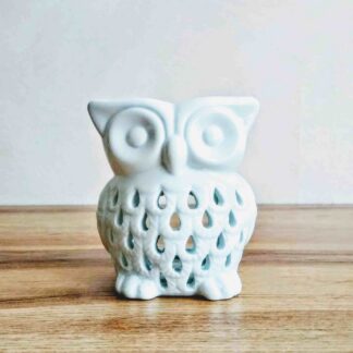 Аромалампи, аромадифузори, пахощі, аксесуари