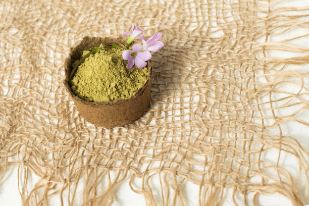 Як працює пігмент лавсон